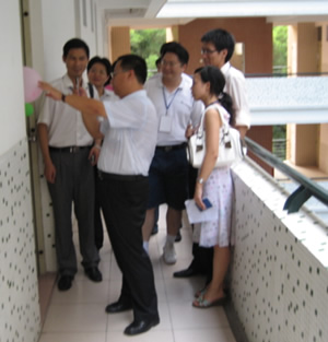 新生 新鲜 新希望 