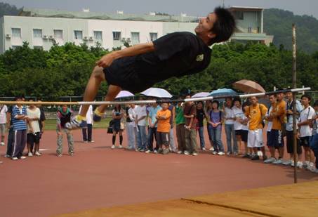 迎风招展的“四叶草” 