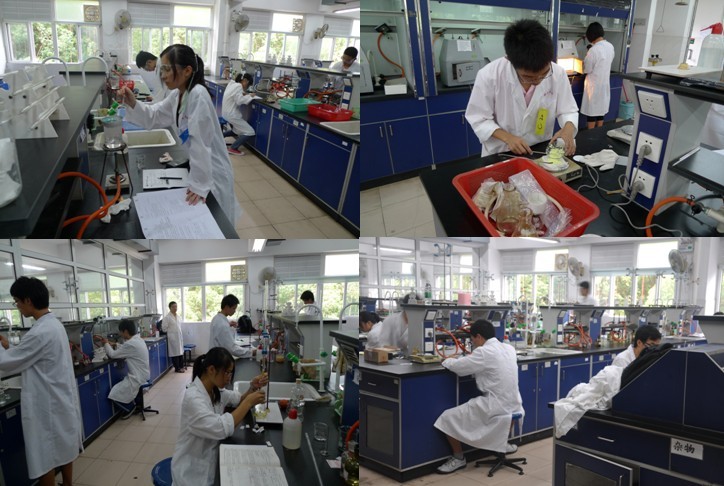 严谨科学•求实创新——记2011年中山大学大学生化学实验竞赛 