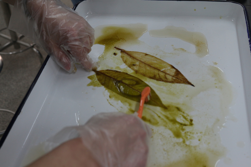 化团锦簇，论学逸仙——化学与化学工程学院2013年化学科技文化节圆满闭幕 