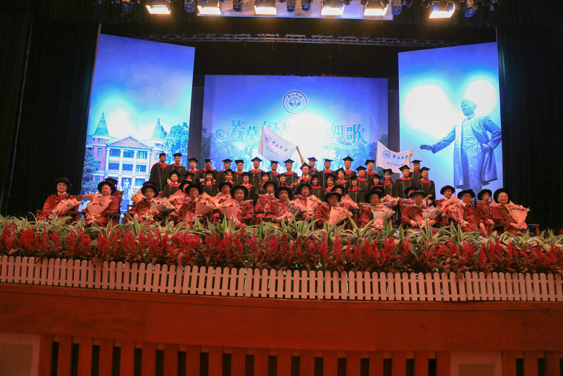 芳草有情，岁月如歌