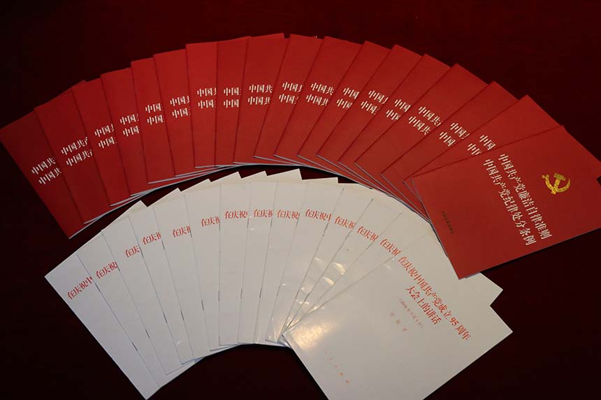 304永利党委召开全体党支部委员会议